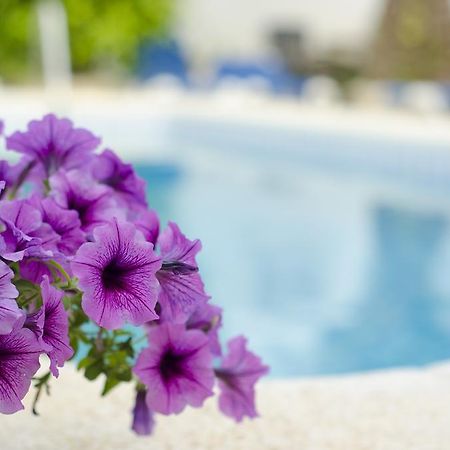 La Crisalida Retreats Apartment El Albir Luaran gambar