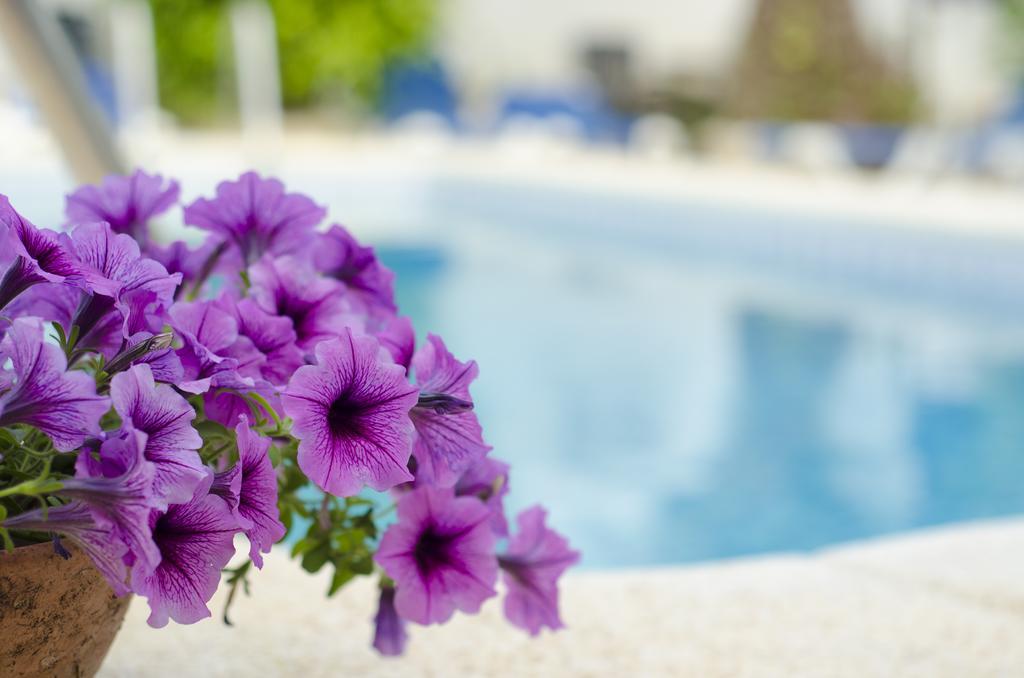La Crisalida Retreats Apartment El Albir Luaran gambar